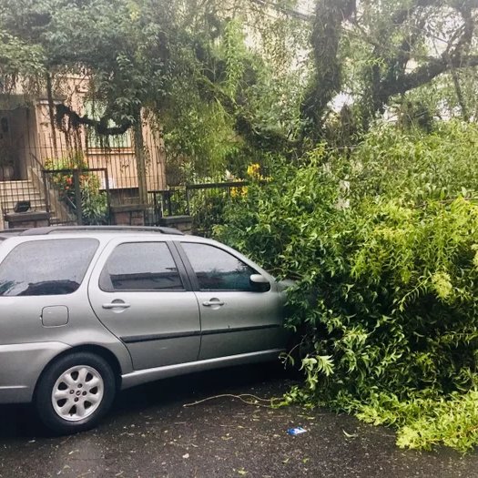 matheuspggomes's tweet photo. Capital da inovação tecnológica? Só no discurso do Melo e do Leite! Porto Alegre não resiste a um temporal: são mais de 288 mil unidades consumidoras sem energia e dezenas de bairros sem água. 

Em todo o estado, mais de 1 milhão de residências estão sem energia, na área da CEEE Equatorial e da RGE. É um caos!

Enquanto isso, falta apenas a assinatura de 1 deputado para iniciarmos a CPI da Energia Elétrica na Assembleia. Qual o medo deles?