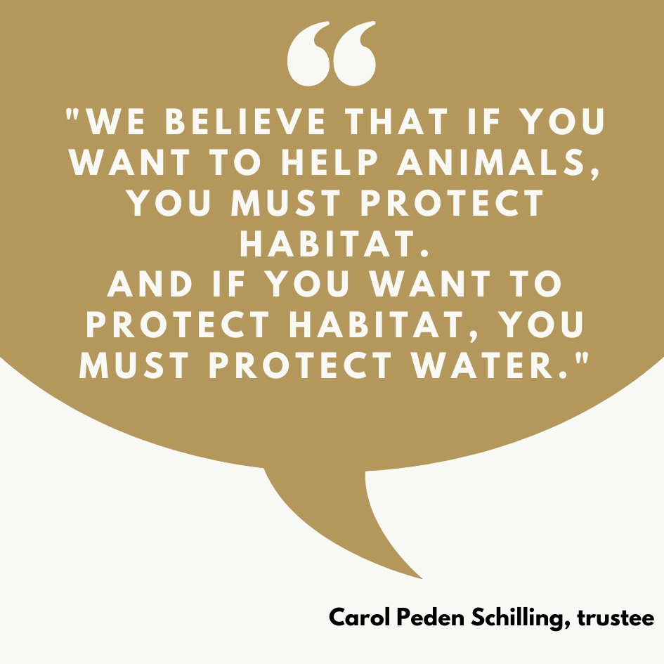 Happy #WorldWaterDay2024! At the Trust, we focus our environmental efforts primarily on increasing awareness of issues related to the Verde and White rivers in Arizona and Indiana. Learn more at ninapulliamtrust.org/programs/envir…. #pulliamtrust #waterconservation