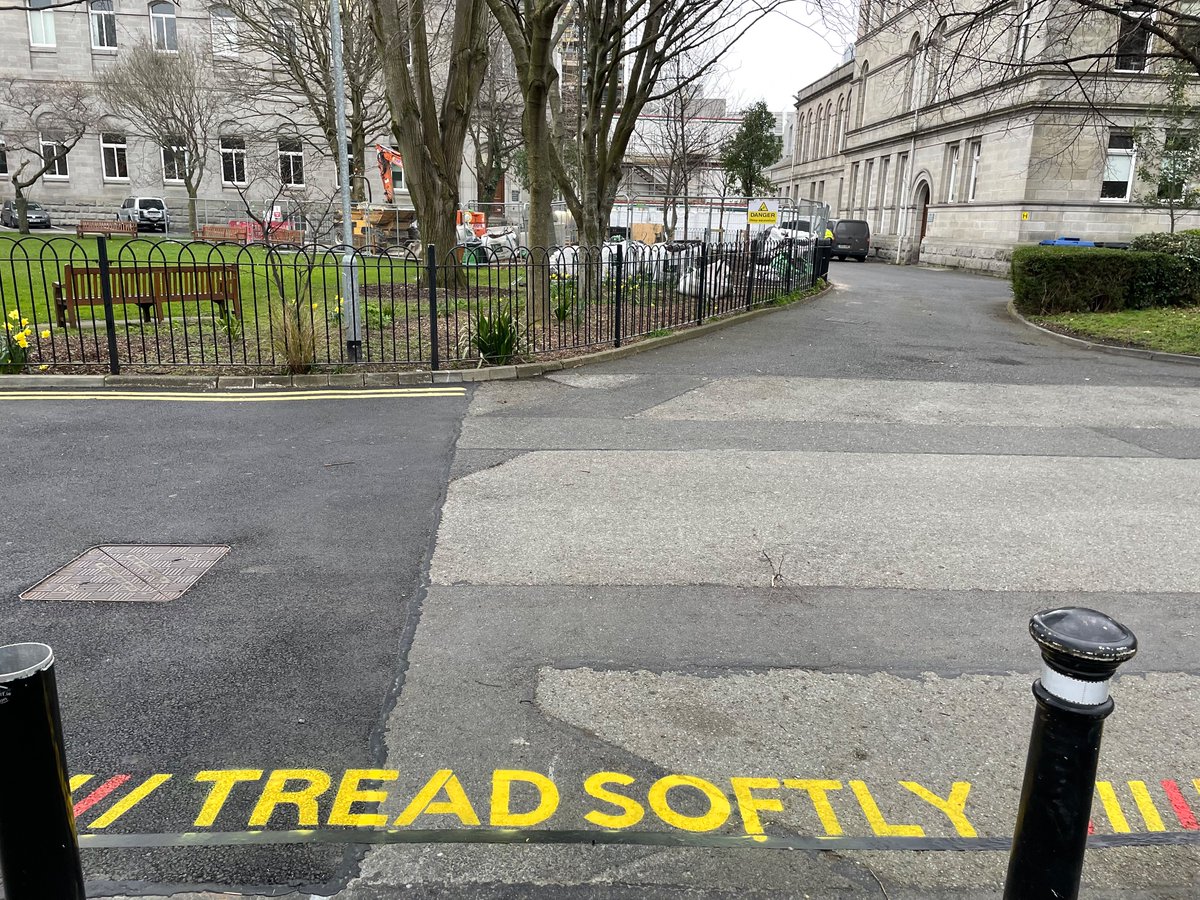 CANVAZPAINTS's tweet photo. Tread Softly @tcddublin 
March ‘22 https://t.co/0dz4Jdhmpm