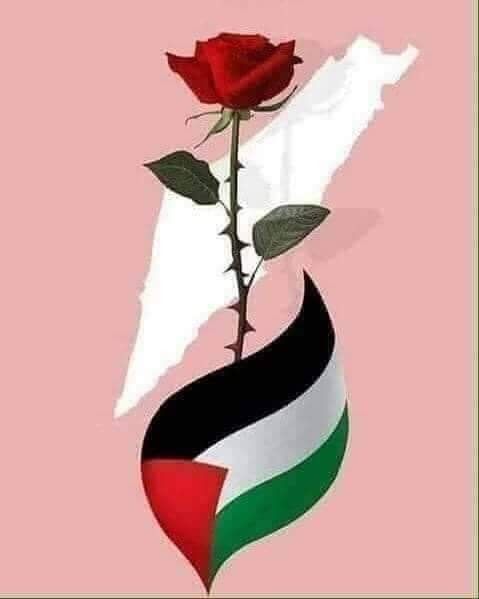 Today is Mothers day in Palestine. Our hearts and thoughts are with all Mothers/Grandmothers in Palestine.
Pls RT if you stand with all Palestinian Mothers.
<3
#CeasefireNOW #MothersdayPalestine
