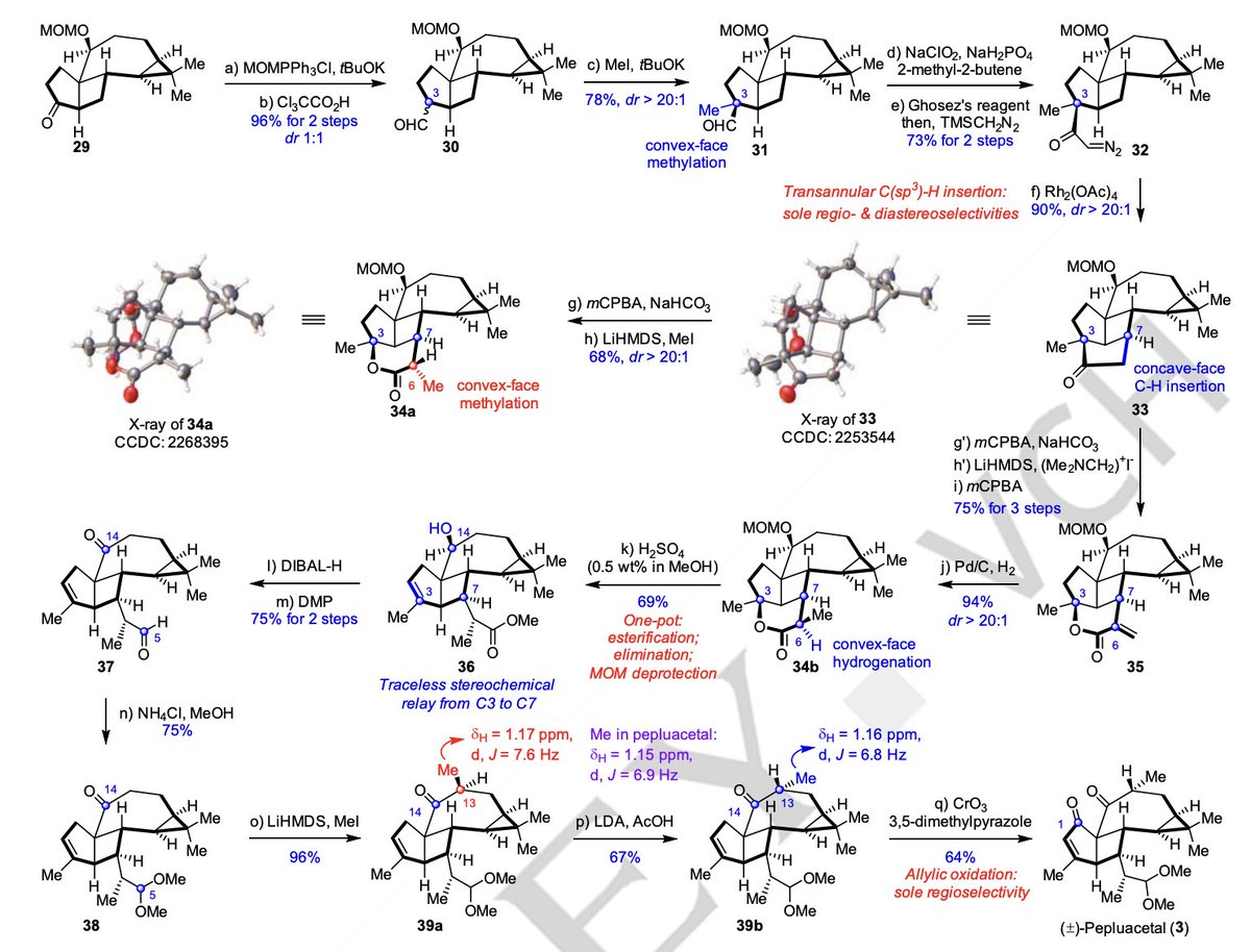 #TotalSynthesis of the Euphorbia Diterpenoid Pepluacetal by Meng Liu, Chuanhua Wu, Xingang Xie, Huilin Li, and Xuegong She at Lanzhou University in @angew_chem onlinelibrary.wiley.com/doi/10.1002/an…