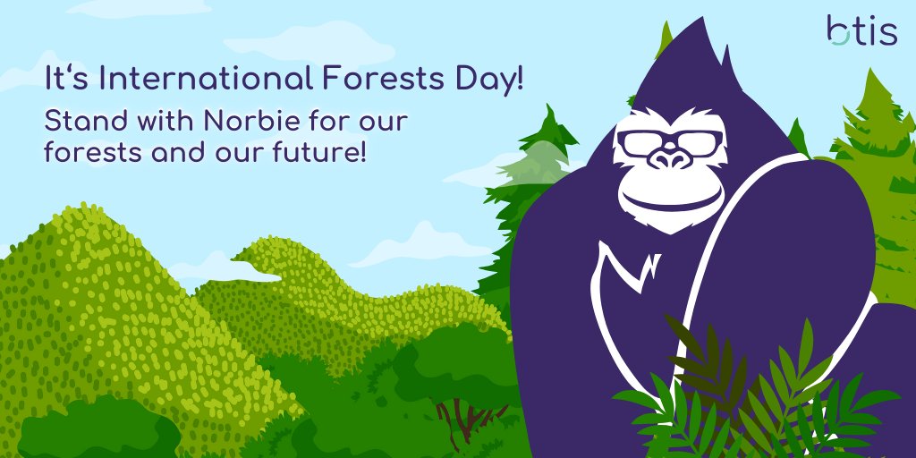 Norbie's calling all nature lovers this International Day of Forests! Home to gorillas and countless other mammals, every tree matters. Share how you contribute to forest conservation! #NorbieCares #IntlForestDay #BetterWithForests