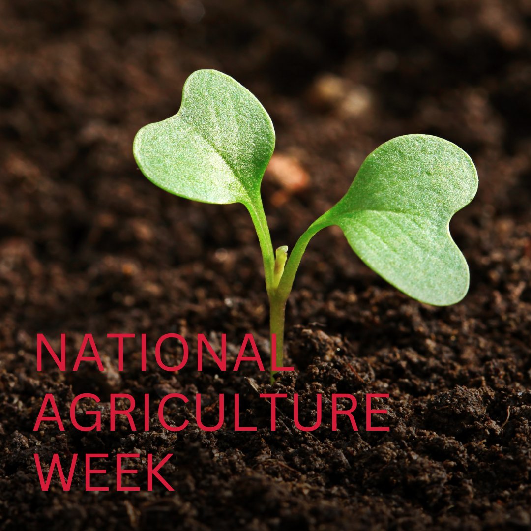 Celebrate National Agriculture Week with us! From dawn till dusk, farmers cultivate resilience, nourishing both land and community. Let's take this week to honor their. #NationalAgricultureWeek #Illinifs