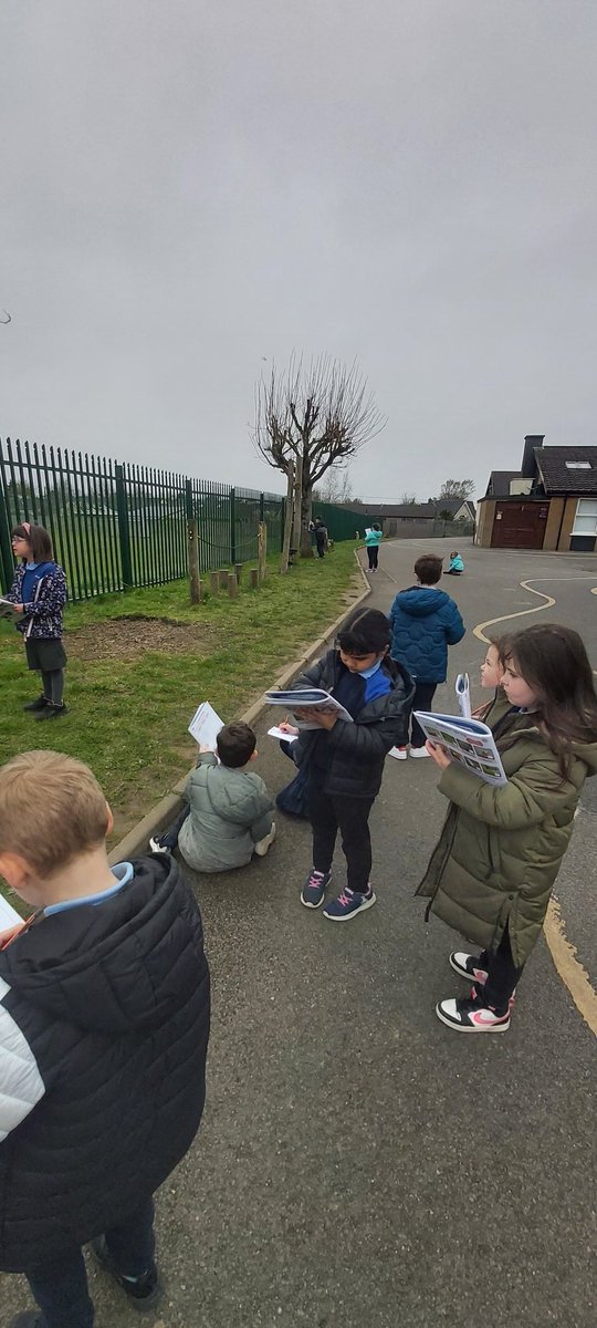 We examined spring trees today. We checked out the trunk, the roots, the branches and we saw lots of spring buds! 🍃