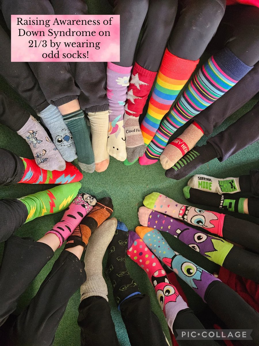 Stepaside C.P. School (@stepasidecp) on Twitter photo  Stepaside C.P. School (@stepasidecp) on Twitter photo