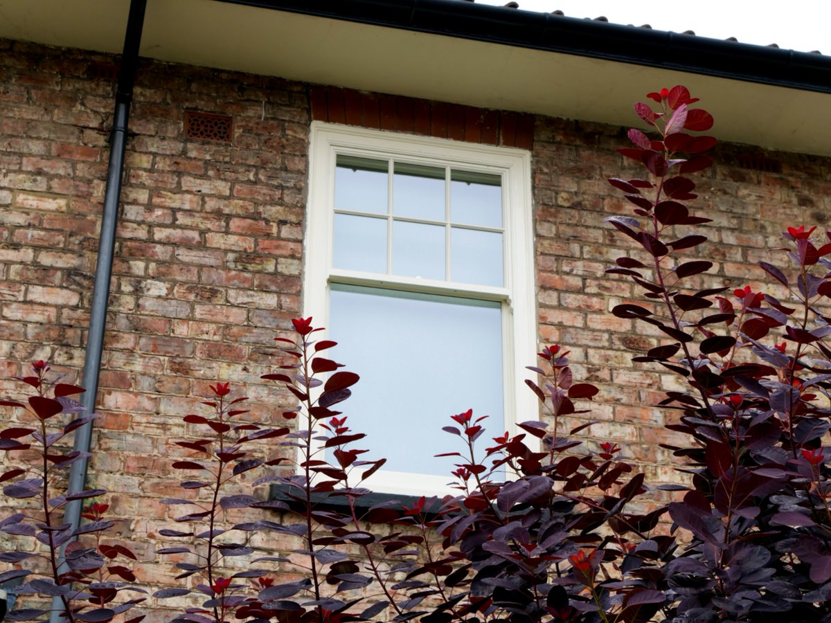 ERWJoinery's tweet image. Now is the perfect time to book any remedial work for your home.🛠️

With 45 years of experience crafting the finest timber doors and windows, we’re a name you can trust.

Get in touch to see how we can help 👉zurl.co/Rron

 #renovation #periodproperty #sashwindow