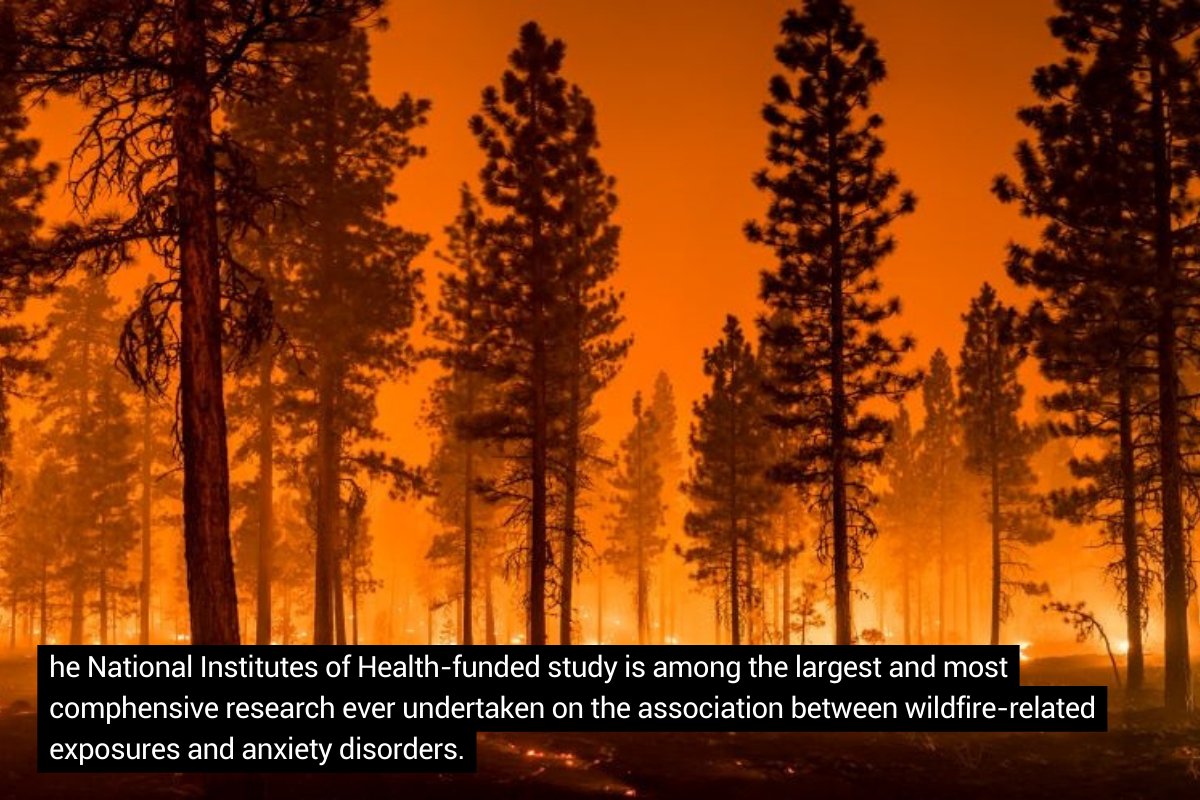 A @EmoryRollins study published in Nature Mental Health found that exposure to wildfires led to an increase in anxiety-related emergency department visits in the western United States. links.emory.edu/Tl
