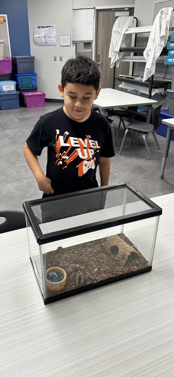 Thankful for @kirkelempto science volunteers and @KirkElementary who are there to teach my kid about arthropods. 🕷️ 🪲 🐞 Today he got to see a tarantula up close. 😱