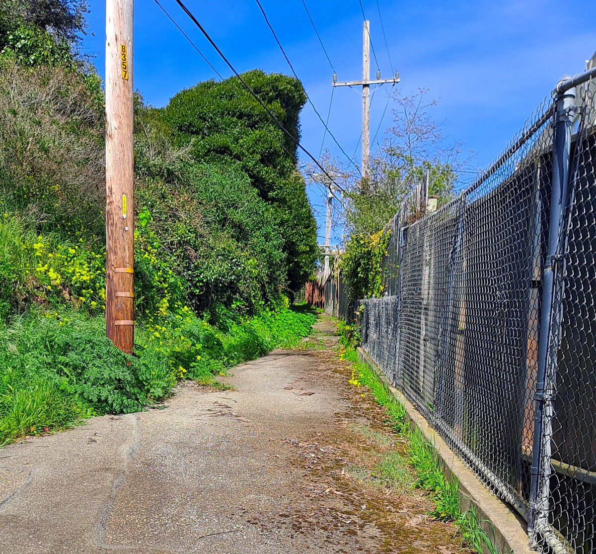 Where in San Francisco is this?
