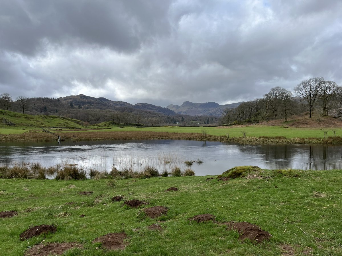It’s been a mixed few days, weather wise

1) West coast of Derwent water
2) Eastern side of catbells lower path (because catbells was impassable today with our elder cohort)
3) Cathedral Cave near Elterwater (well, Little Langdale)
4) Elterwater