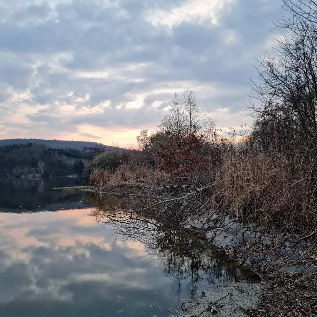 #frystackaprehrada #Fryšták #Czechia #Zlínskýkraj #cloud #water #sky #plant #world #branch #sunlight #grey #naturallandscape #wood #trunk #tree #watercourse #woodyplant #grass #twig  #formation #landscape #forest #cumulus  #reflection #winter #symmetry #rock