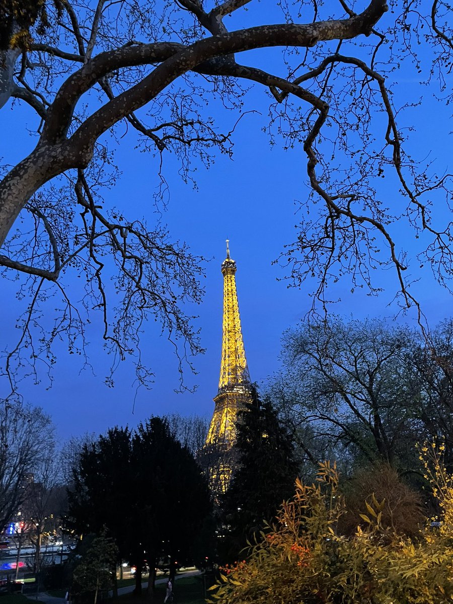 Grove Modern Languages tweet media