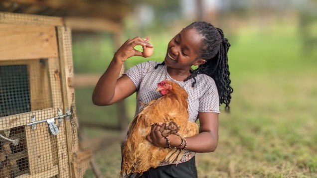 “By Investing in poultry production, we can improve food security, nutrition, and livelihoods around the world.” @JoelOptimist1
