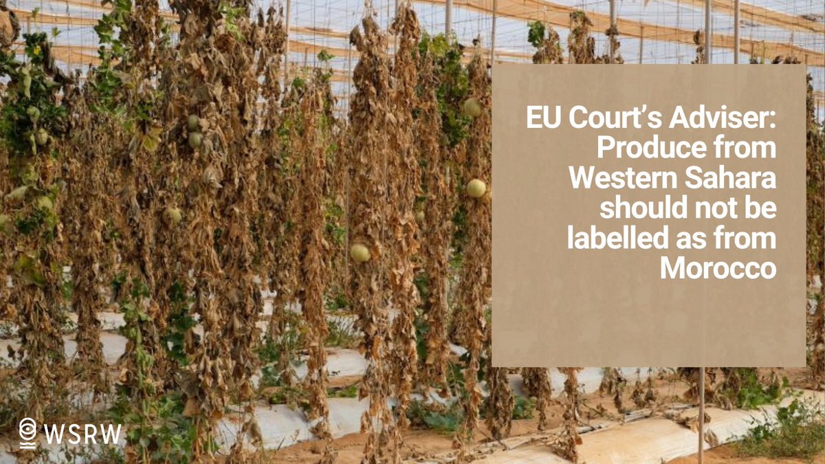 Labelling those products as originating in #Morocco instead of originating in #WesternSahara breaches EU law, the Advocate General of the EU Court of Justice concludes. wsrw.org/en/news/eu-cou…
