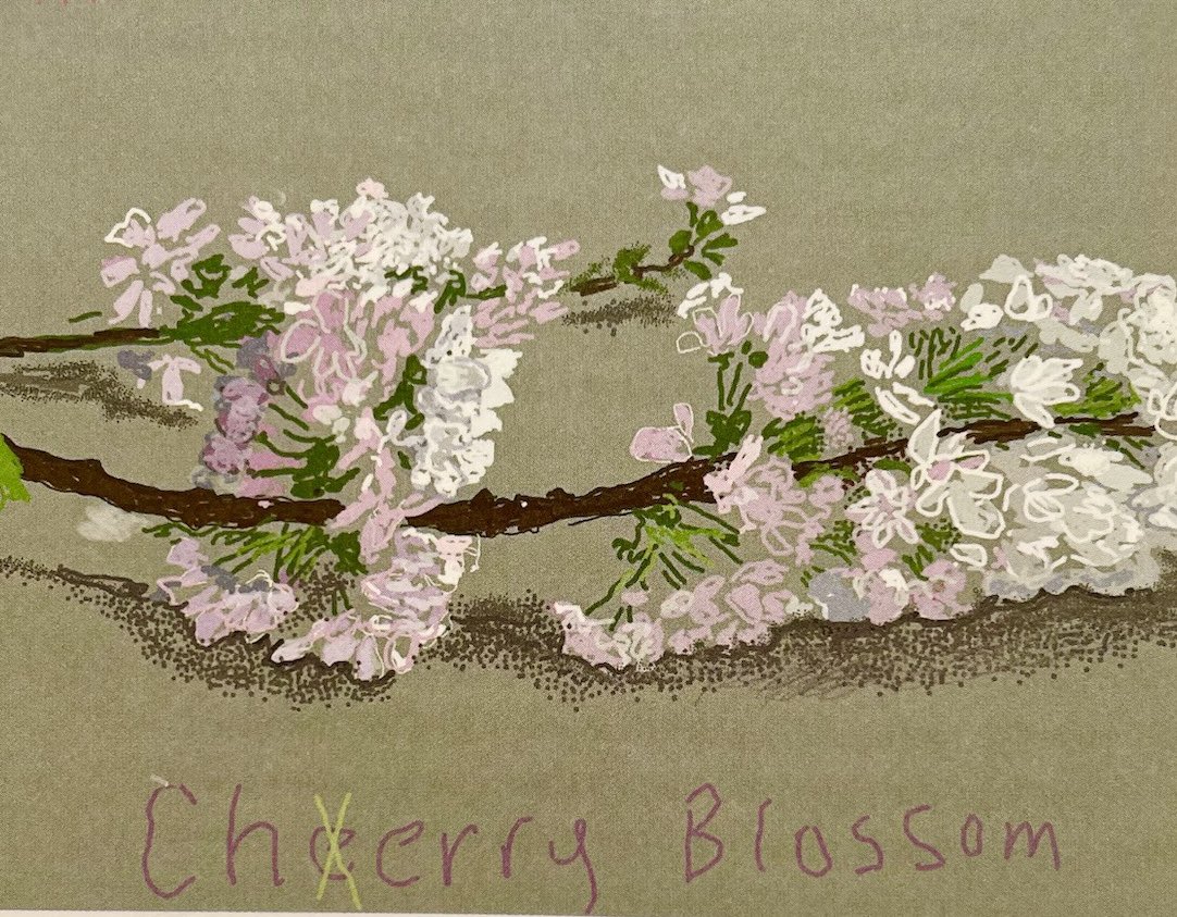 Cheery Blossom!  #DavidHockney #Spring