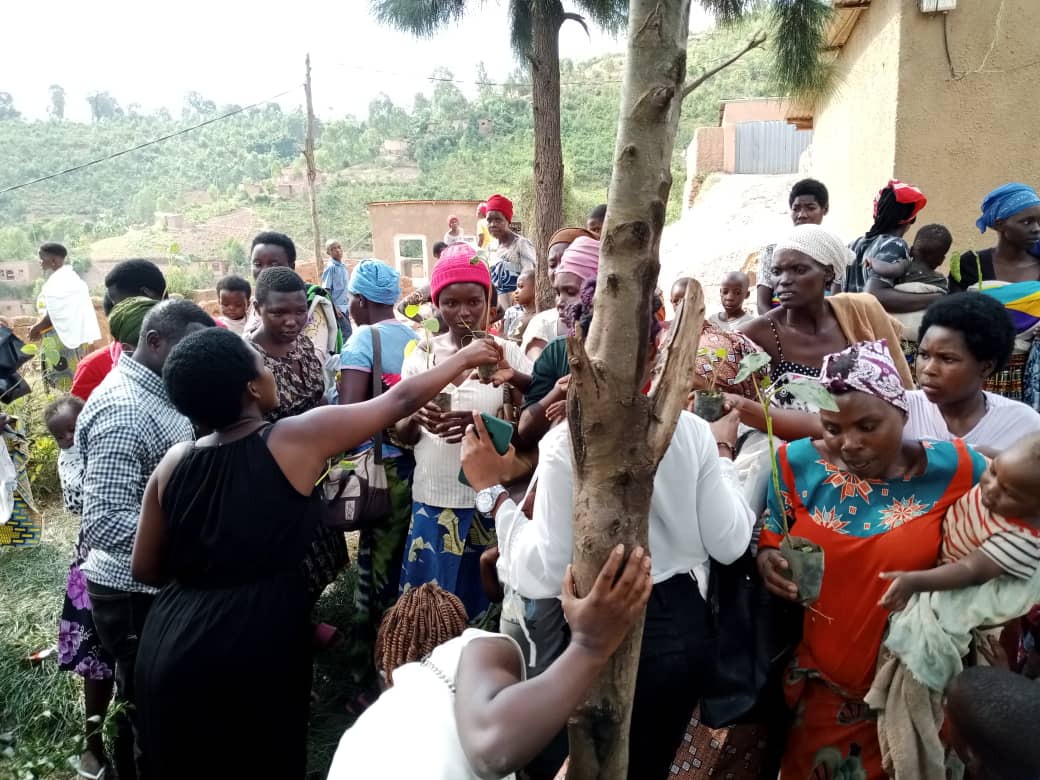 Today, we continued #Nutritionmonth2024  activities in the community at @BumbogoS @Gasabo_District. We did cooking demonstration, nutrition education #IEC #SBCC and sharing a healthy meal with children as well as providing #fruitstrees to parents. #Hehenigwingira @Rwanda_Child