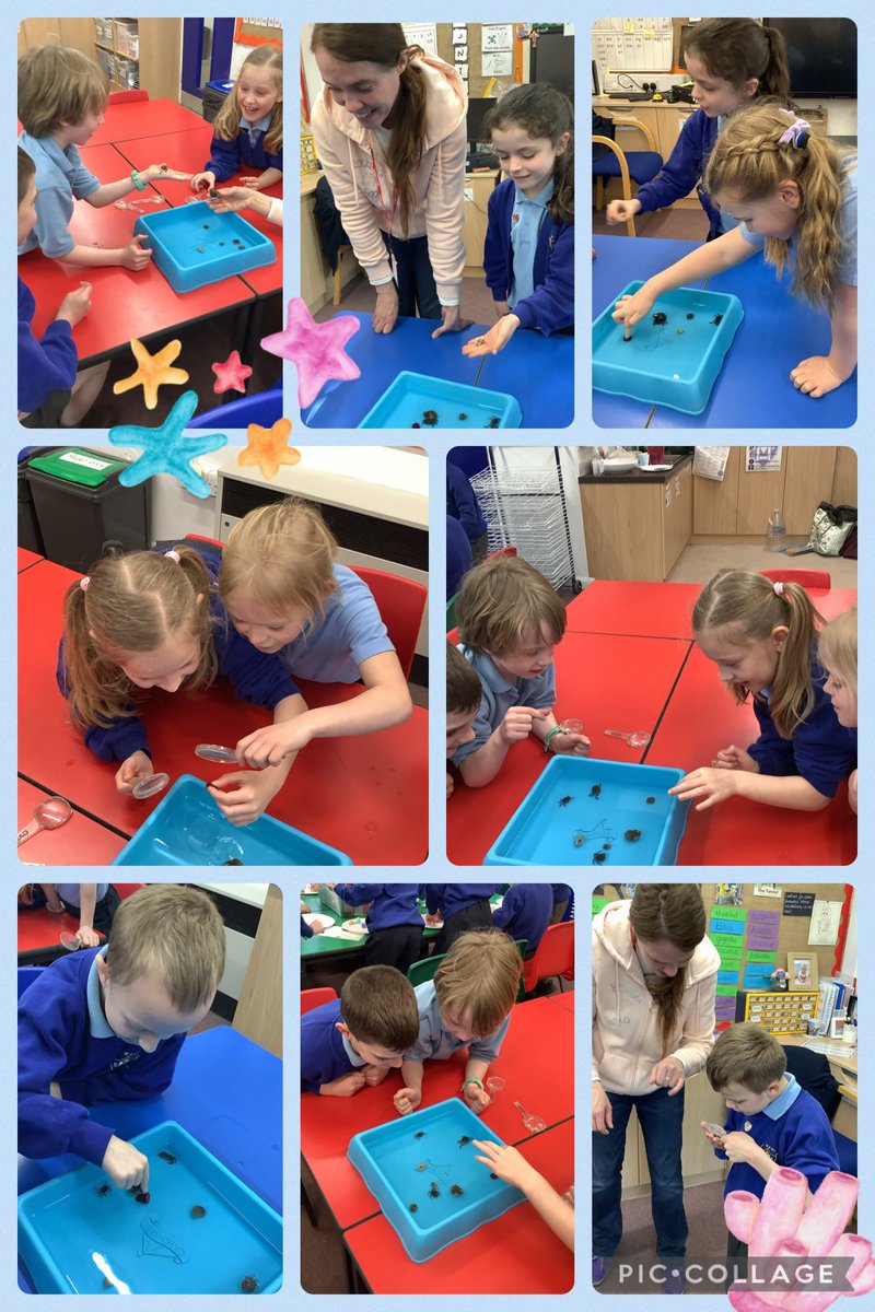 Year 2 spent the afternoon as mini marine biologists, learning all about creatures that live in rockpools. Thank you so much to @Rockpoolschool1 for an absolutely unforgettable afternoon meeting your rockpool friends!🐚🦀 #StMarysScientists #BritishScienceWeek