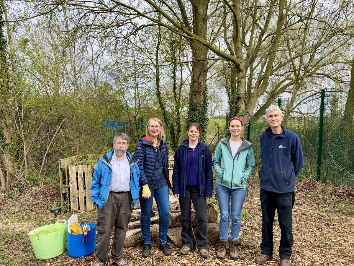 One of my favourite spots on @BritGeoSurvey site is snake wood! Today we did a bit of lunchtime brambling to keep the area open and a sanctuary for grass 🐍