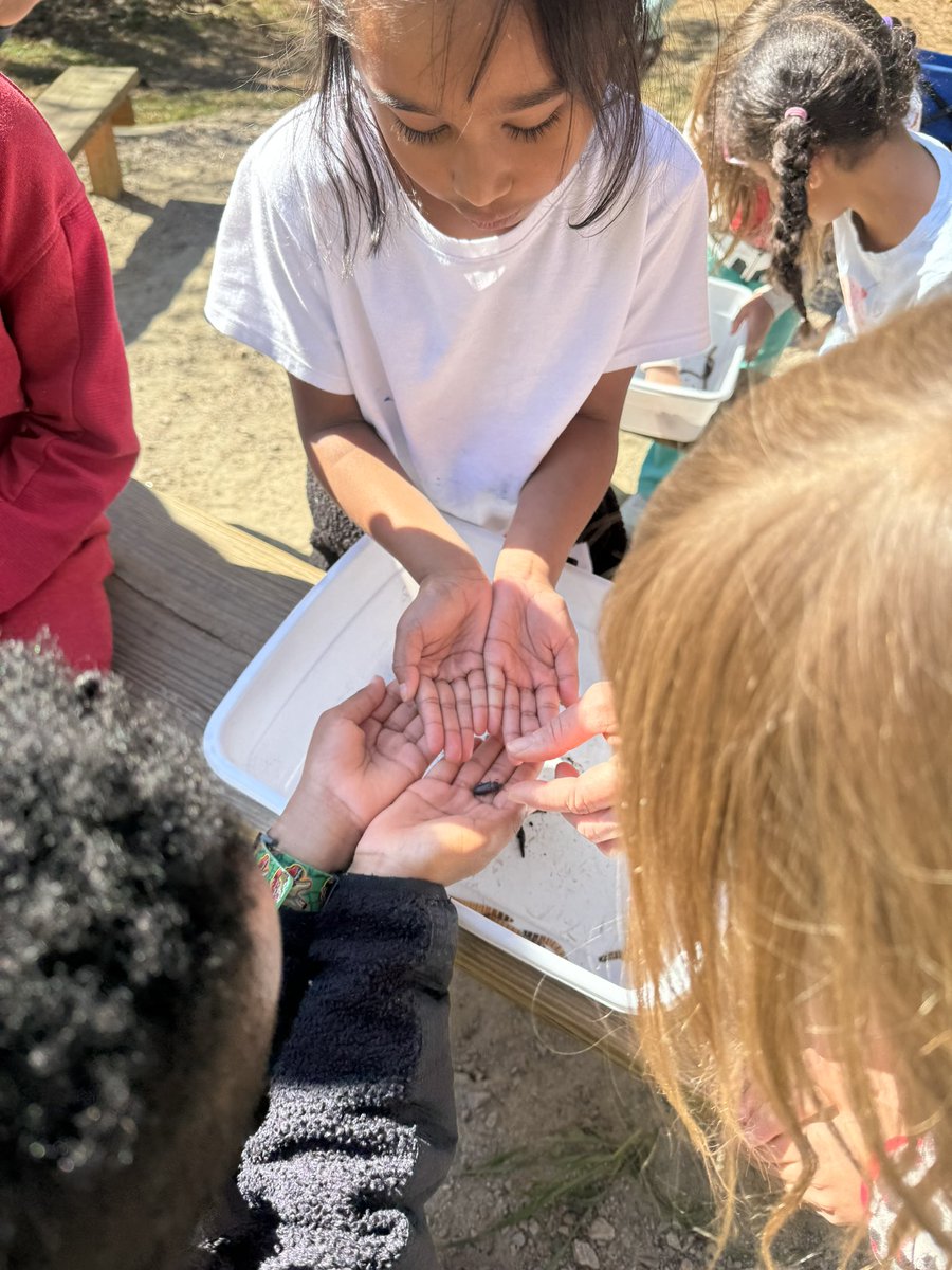 MsWarren1st's tweet photo. We had so much fun on our field trip today! https://t.co/vnOtJnIGZj