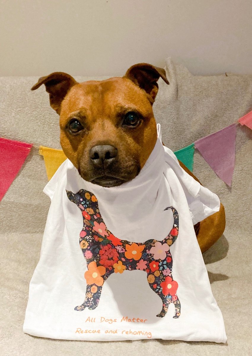 Thank you to @AllDogsMatter for this super cool T shirt much nicer than high street brands and all sales go towards the many rescue dogs in their care forever growing. Available at their online shop,what’s not to love and modelled so beautifully by Dixie a rescue herself 🐾❤️