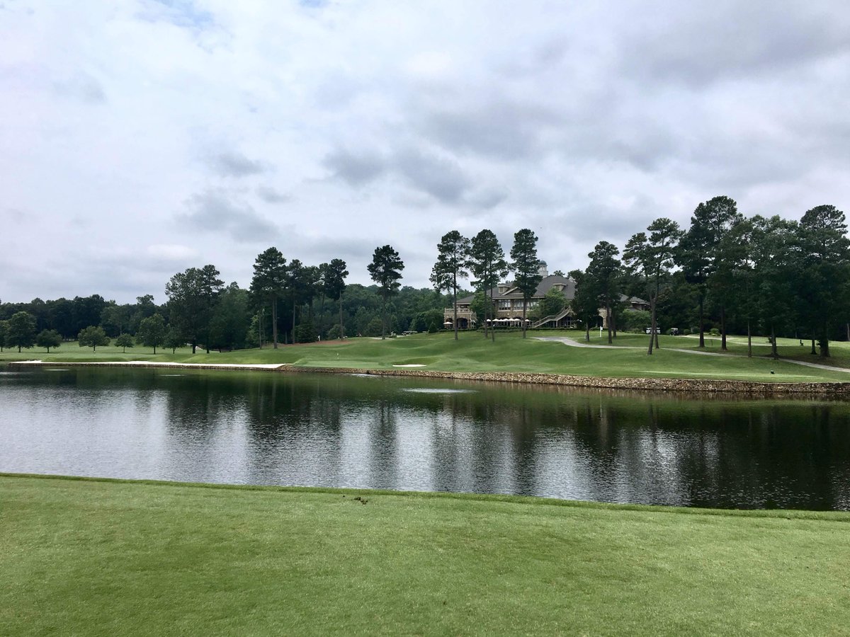 Mental Golf Coach tweet media