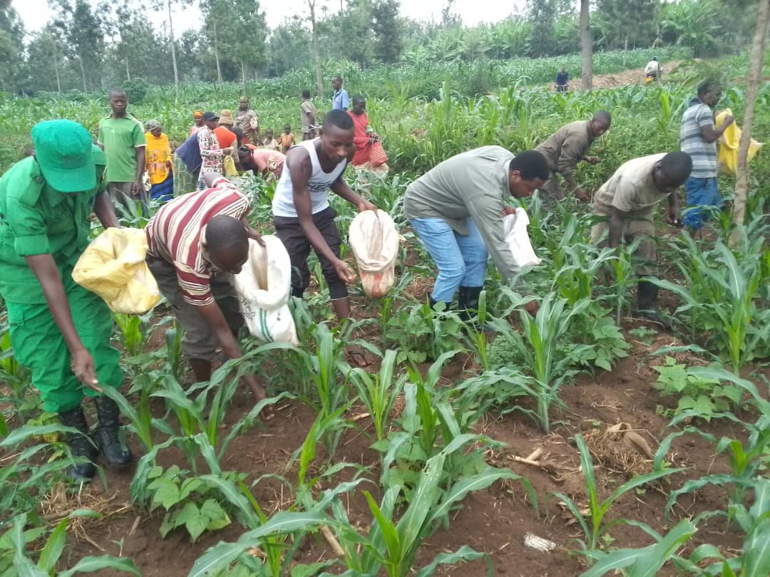 Mukama sector tweet media