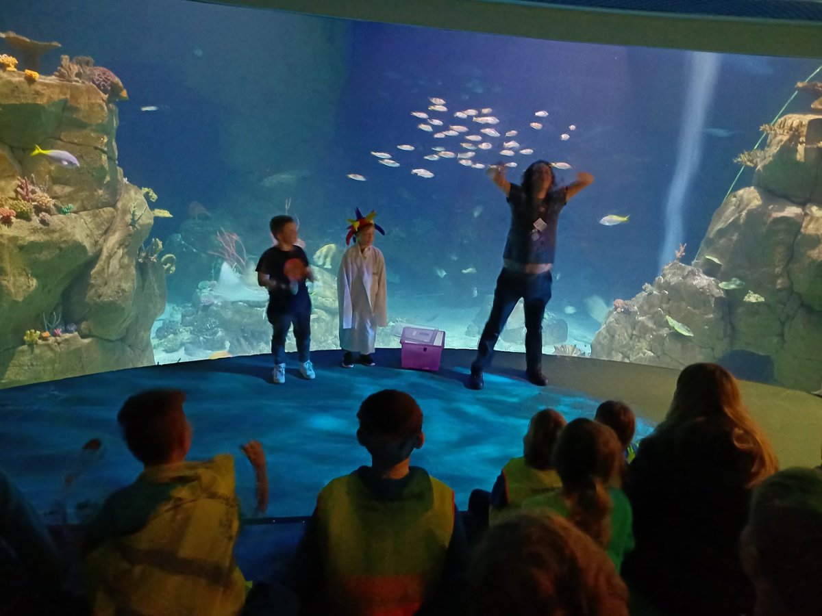 Bude Primary Academy - Juniors tweet media