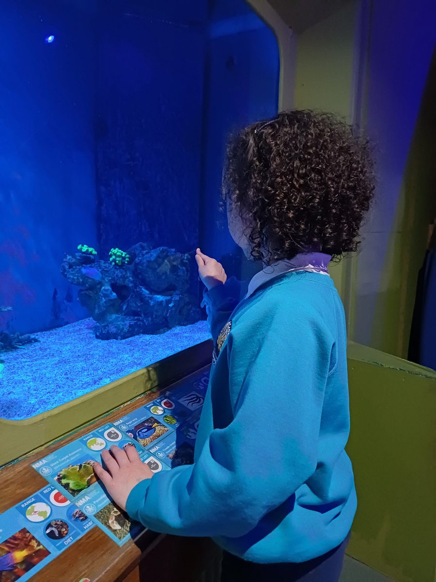 Bude Primary Academy - Juniors tweet media