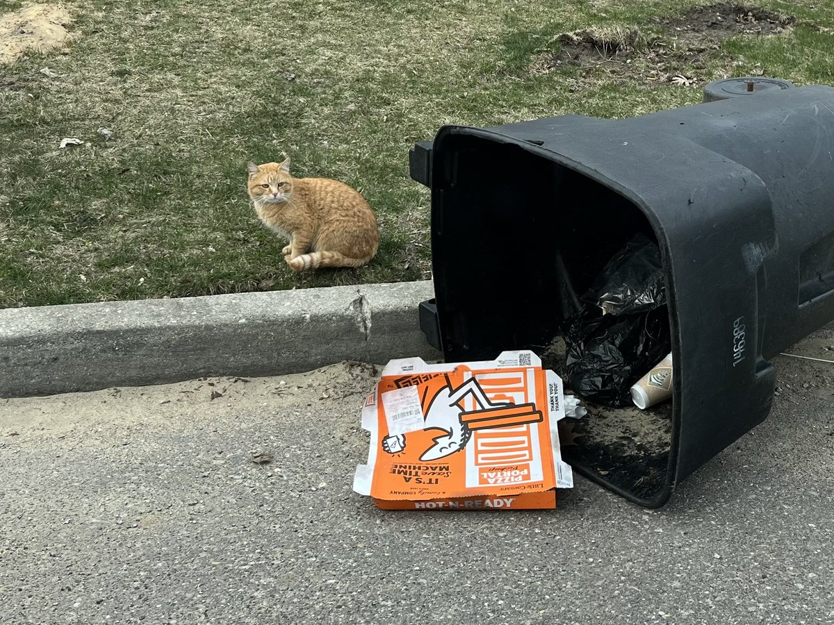 Pizza Gang tweet media
