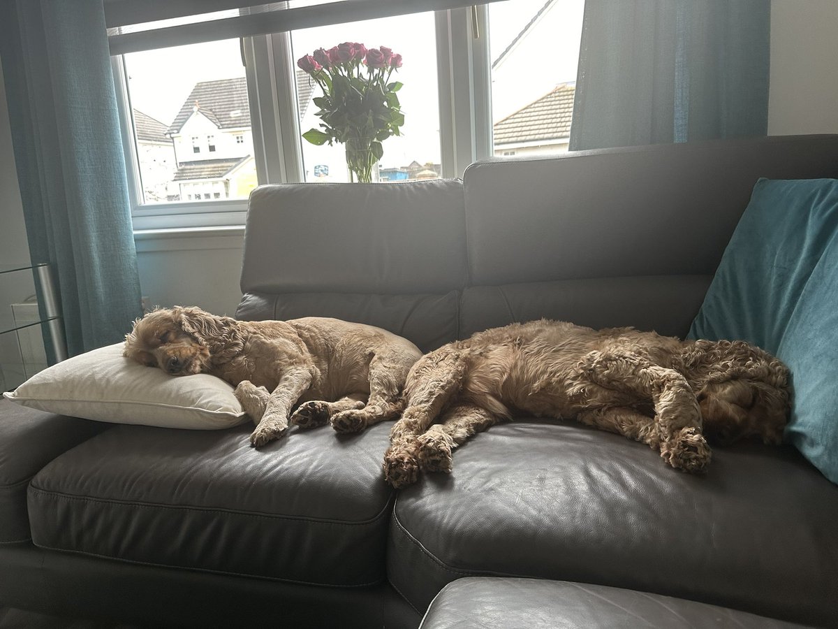 Paolina Soprano tweet media