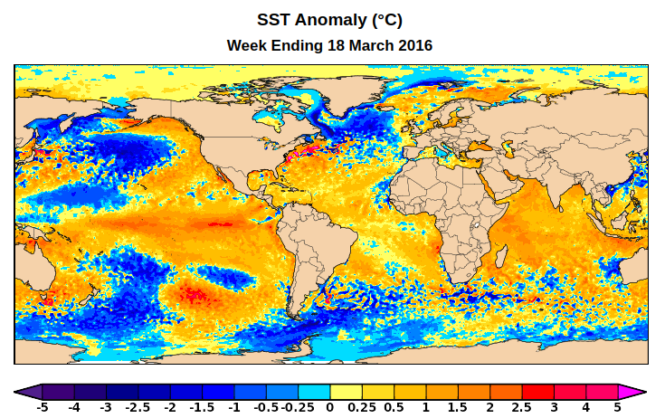 Checking in on near-equatorial SSTs, it's essentially a tie with 2016 for the zonal average at this date. However, El Niño is ending much more quickly this time, whereas the Atlantic is drastically warmer than in 2016. Major North Pacific differences too.