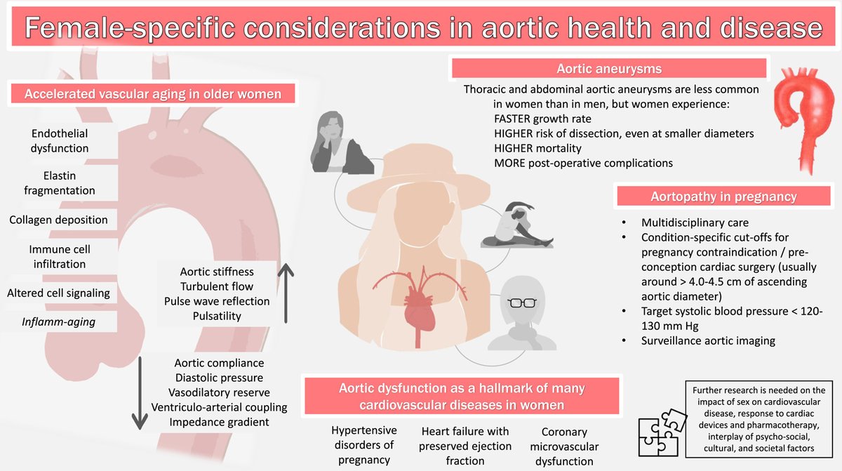 Authors @beccacrosier @drmlopezlaporte @rudyunni and @thaiscoutinhoCV review sex differences in functional and anatomical diseases of the #aorta, highlighting differences in disease pathogenesis, epidemiology and outcomes #NotJustAPipe 👉 cjcopen.ca/article/S2589-… #CJCO