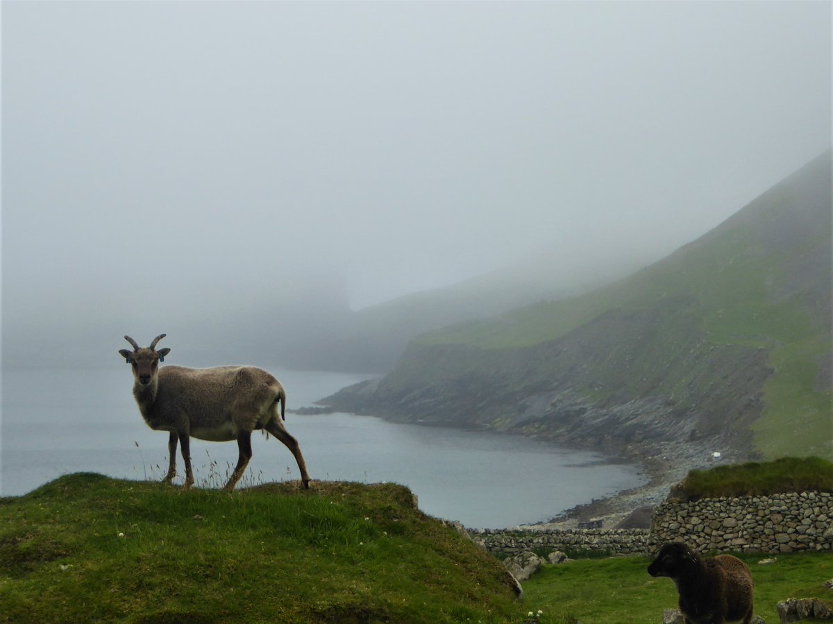 The Climate Chronicles: 007 The Ensō Isle of St Kilda julespretty.com/2024/03/21/007… Life in the stream of the North Atlantic Oscillation [6 mins reading time]