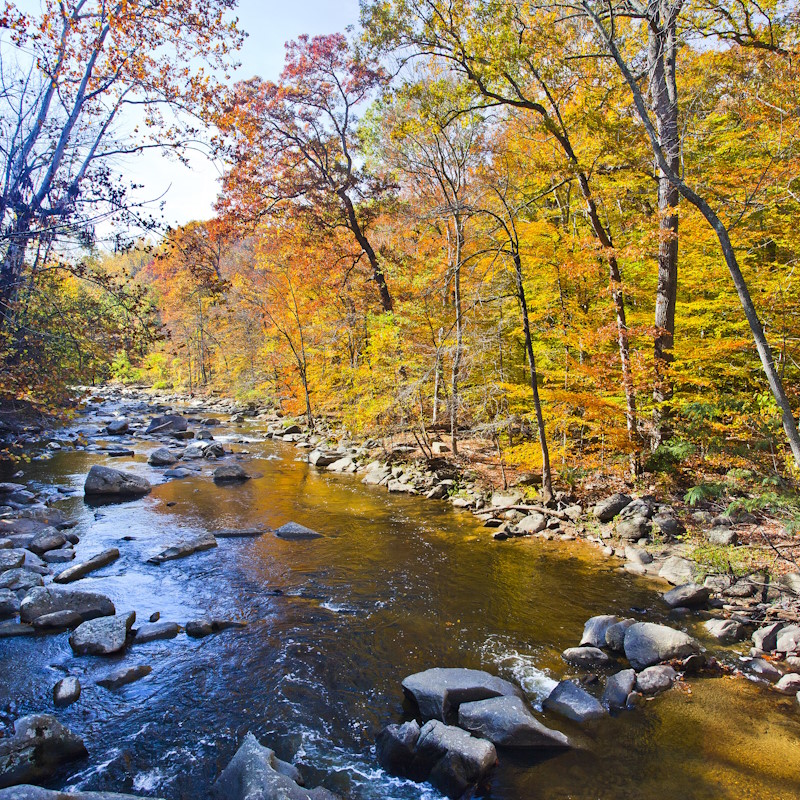 DC Innovate tweet media