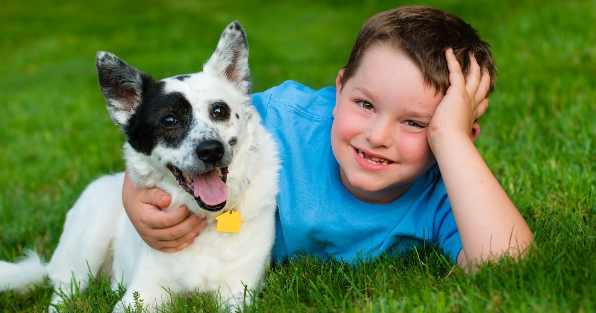 April is #NationalPetMonth🐶🐱🐰🐟 Owning a pet offers many therapeutic benefits, particularly to a child or young person in foster care, providing companionship & affection & helping to strengthen family bonds💛