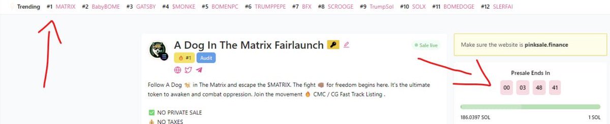 A Dog In The Matrix 💊 tweet media