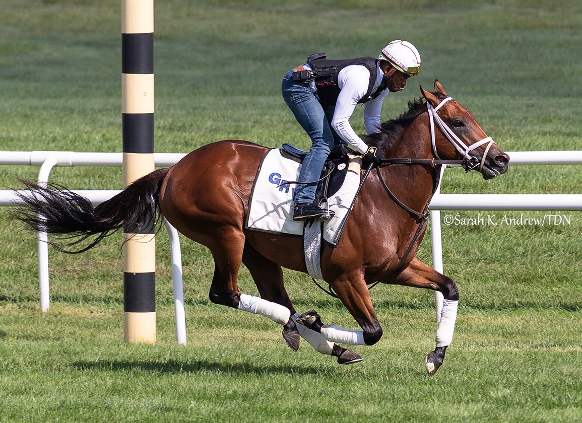 TDN (@thetdn) on Twitter photo Multiple stakes winner NO NAY METS (No Nay Never), fourth in the Nov. 3 GI Breeders' Cup Juvenile Turf Sprint last time out, returns Saturday to make his 3-year-old debut in the Texas Glitter Stakes at <a href="/GulfstreamPark/">Gulfstream Park</a>!
Owned by Bregman Family Racing (<a href="/ABREG_1/">Alex Bregman</a>) and new partner Multiple stakes winner NO NAY METS (No Nay Never), fourth in the Nov. 3 GI Breeders' Cup Juvenile Turf Sprint last time out, returns Saturday to make his 3-year-old debut in the Texas Glitter Stakes at <a href="/GulfstreamPark/">Gulfstream Park</a>!
Owned by Bregman Family Racing (<a href="/ABREG_1/">Alex Bregman</a>) and new partner