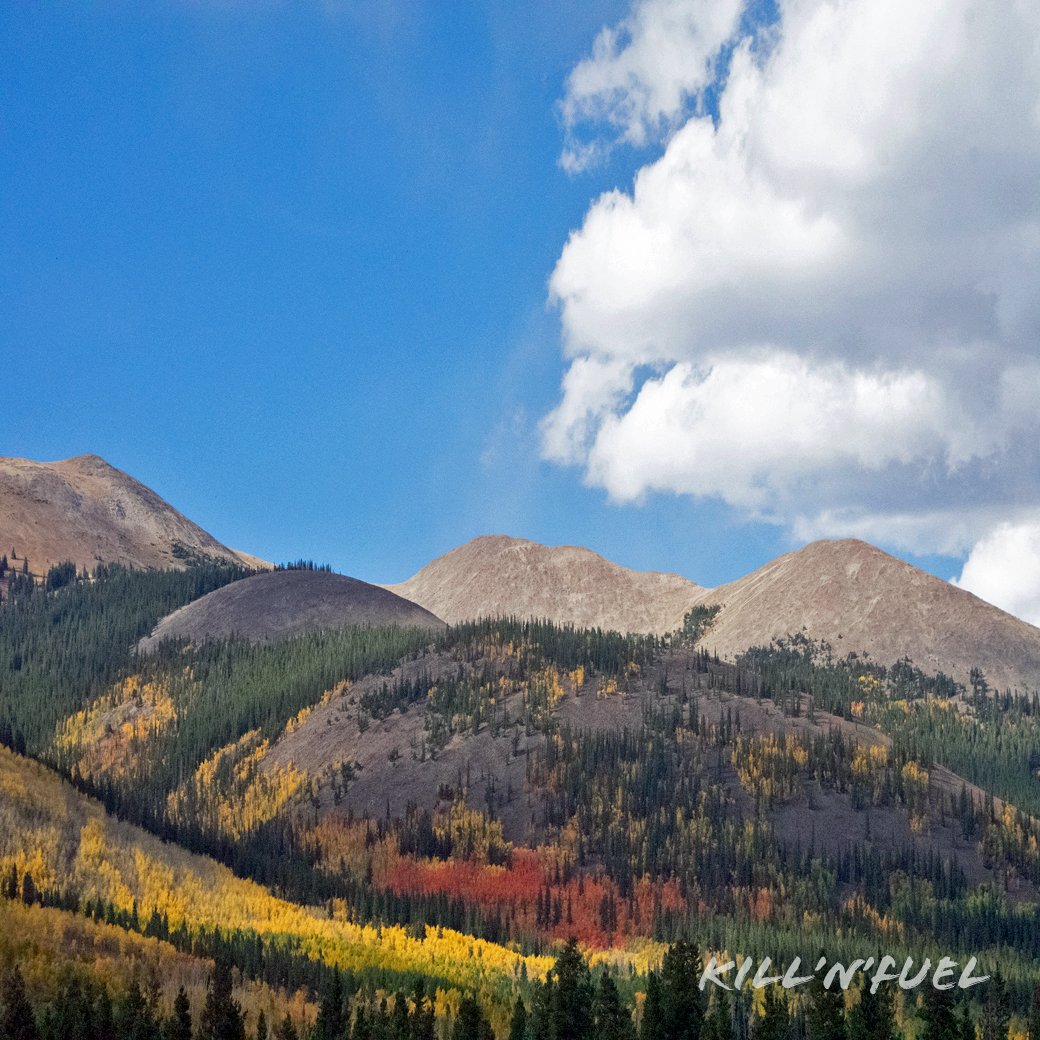 Ah, Fall.

#WaybackWednesday #fallvibes #autumn #delightful #breathtaking #naturelovers #landscape
