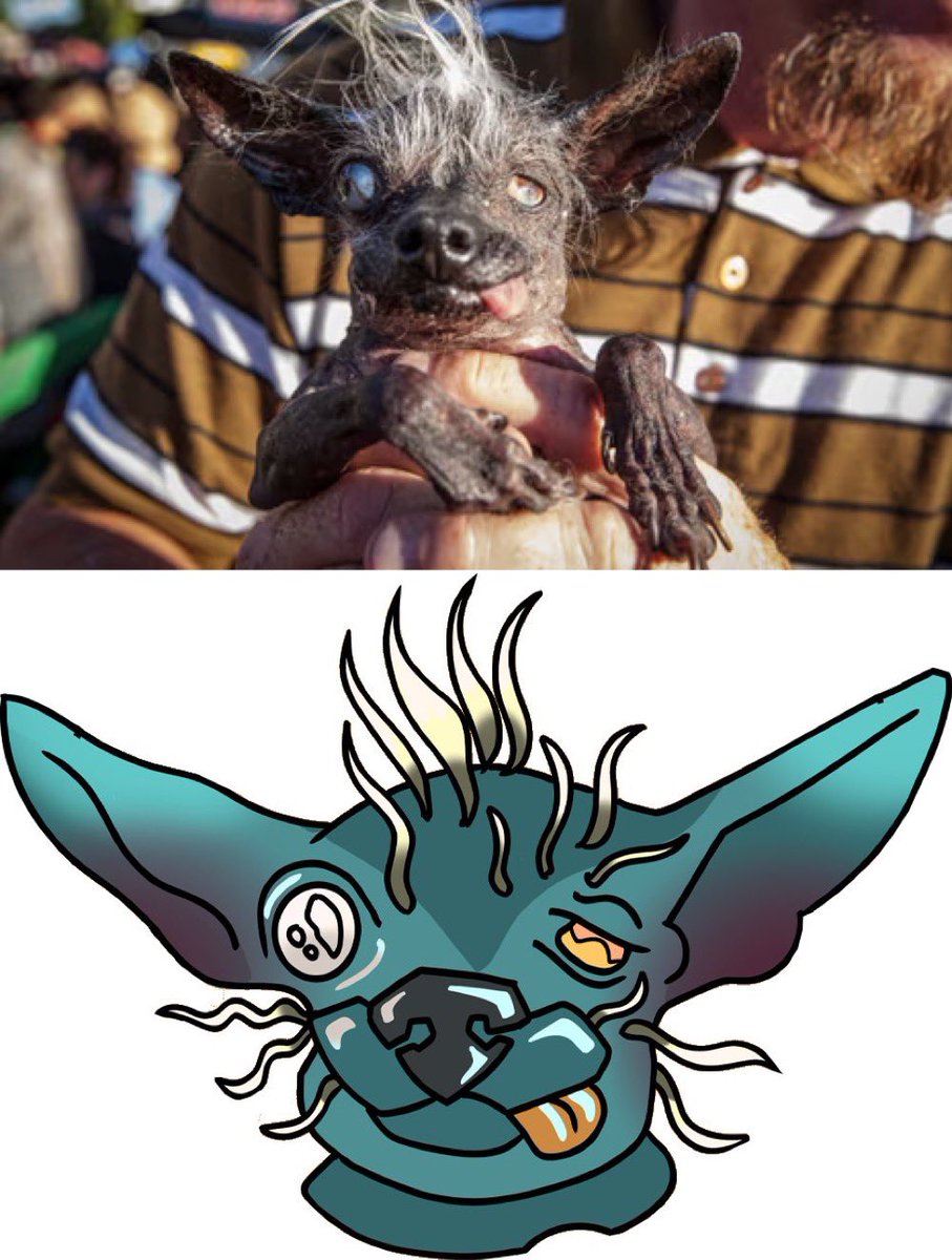 baddabingobaby's tweet image. Now we’re talking about dog coins again, Sweepee $RAMBO needs to be part of this conversation - the ugliest dog in the world, as per @time magazine.

Huge narrative as the anti $DOGE at play, with a team that doesn’t give up and constantly building. 

AMA soon with the owner I…