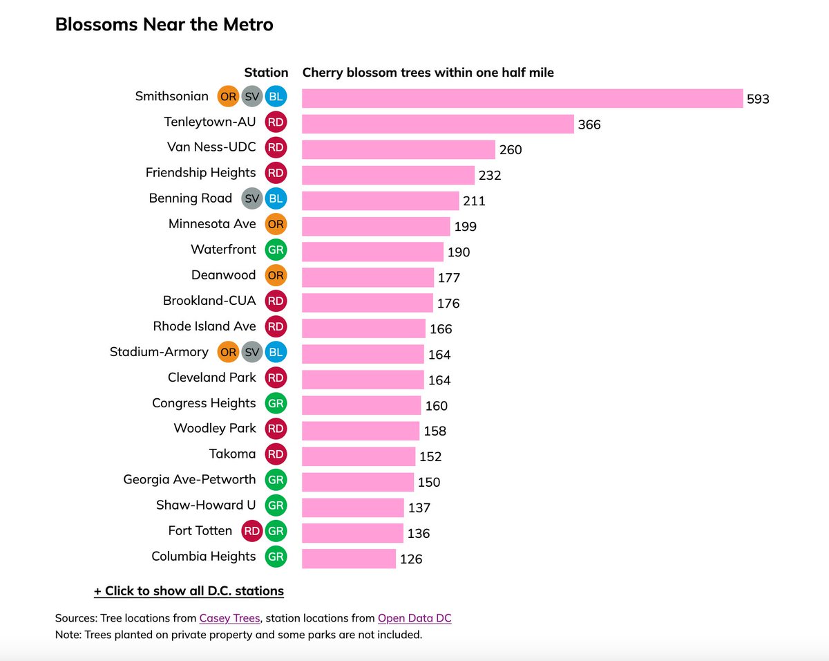 You have one day left before Saturday's storm washes out 🌸peak bloom🌸. Here's where to take the Metro for maximum cherry blossoms - catch the themed train if you're lucky. (Suggestion: skip the Mall. Enjoy a quieter view.) hrecht.com/cherry-blossom…