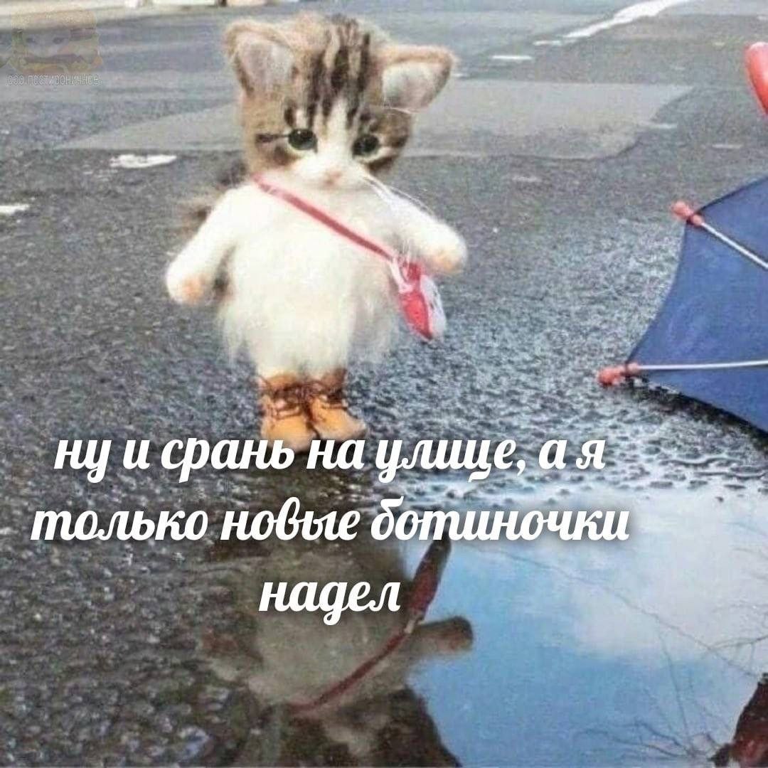 🐸жабья принцесса👑 (@kxiq7u7oc8nsgnc) on Twitter photo 