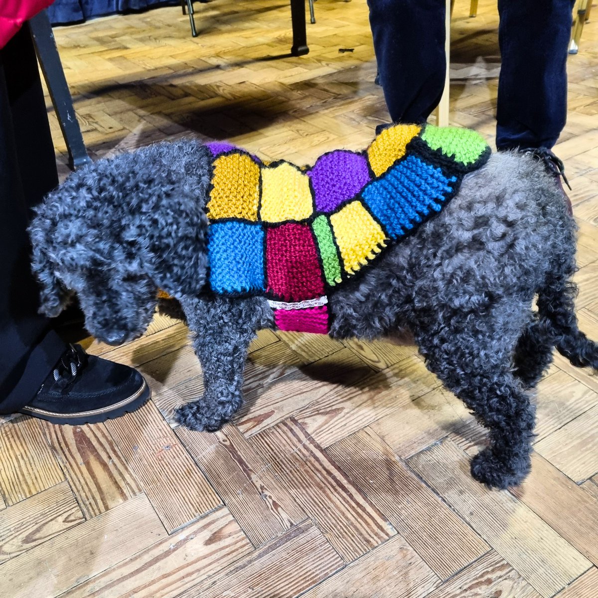 A quick visit from #Pepe today to brighten up the #EAC! Three cheers for a #handmade #knitted number on a brisk #spring day. #erinartscentre #pepe #porterin #isleofman