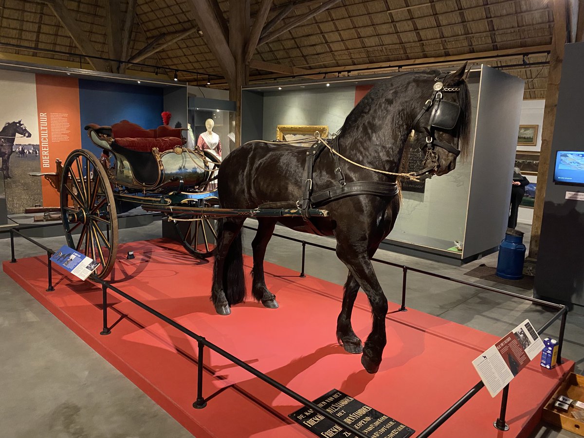 cdkfryslan's tweet photo. Gearkomste mei 20 âld deputearren fan ⁦@provfryslan⁩. Hja binne altyd noch ambassadeurs fan ús provinsje 🙏 Praat yn ⁦@Lanboumuseum⁩ oer opjeften fan hjoed. ⁦@psfryslan⁩ https://t.co/49Zo30NlOF