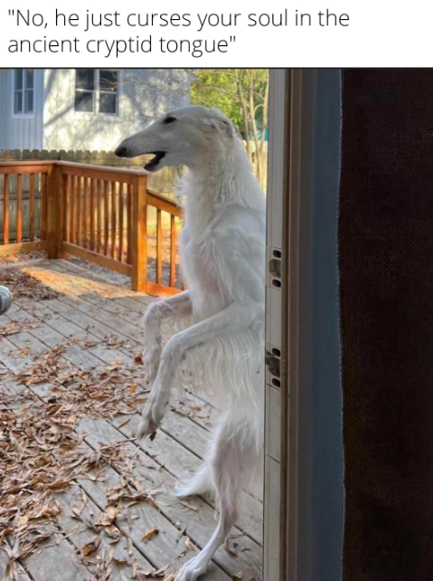 MemeCoinMaster2's tweet photo. $BORZ gunna make me RICHHHHHH #solana and #BNB📷 @WolfgangBorzoi
@Sartoshi0x @Thorshammergems @YenTecSolutions
@TheSolanaOracle
#slerf #bonk #shibarmy #memecoin #100x #gem #godme #cia #pipi #shrek #toshi
"DOES YOUR DOG BITE?" https://t.co/hB76y05Is5