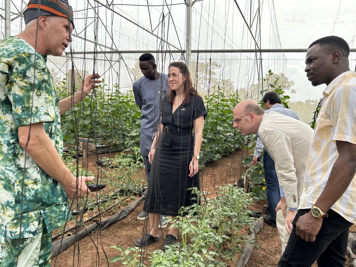 The Netherlands 🇳🇱 is a proud partner of Nigeria 🇳🇬 in horticulture🥒🍅. At the launch of the #greenportnigeriaimpactcluster in Ogun state today we celebrated the start of an exciting journey in innovation and collaboration 🌱