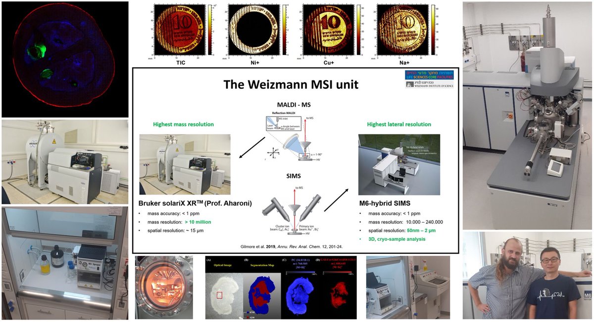 Our mass spectrometry imaging unit at the Weizmann Institute of Science is hiring. This is an exceptional opportunity. Come and be a part of our fantastic team! Apply here: weizmann.ac.il/HR/jobs/he/pos…