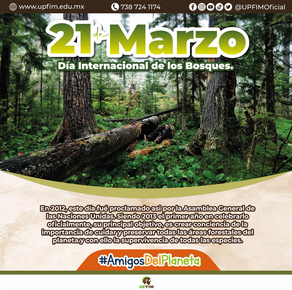 21 de marzo como 𝘿𝙞́𝙖 𝙄𝙣𝙩𝙚𝙧𝙣𝙖𝙘𝙞𝙤𝙣𝙖𝙡 𝙙𝙚 𝙡𝙤𝙨 𝘽𝙤𝙨𝙦𝙪𝙚𝙨

Los bosques son fundamentales para combatir el cambio climático, por lo que contribuyen significativamente al beneficio de las generaciones presentes y futuras.

#AmigosDelPlaneta #NaturalmenteUPFIM