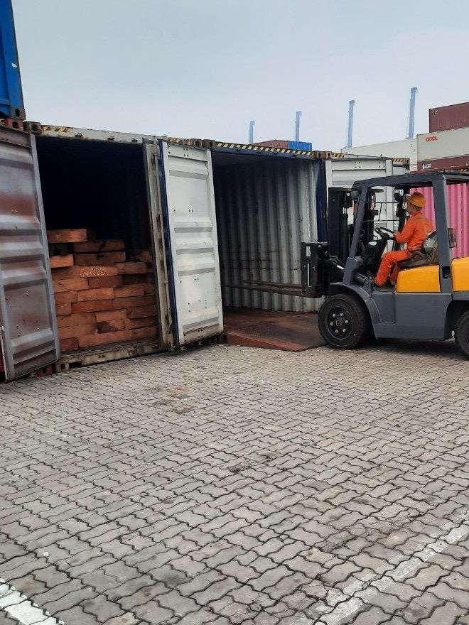 UNODC_ENV's tweet image. On this #ForestDay let's spotlight the clandestine journey of African rosewood to Asia, often smuggled alongside similar-looking legally traded timber. Awareness is key to identify these mixed shipments &amp;amp; protect our forests.
Photo: G. coleosperma (not CITES listed)