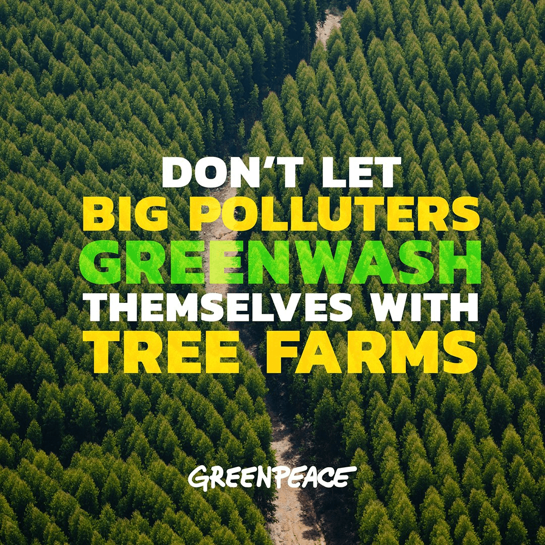 Quick #InternationalDayofForests reminder ⤵️

Don't believe the lies of big polluters like Shell, Total, BP, AirFrance or EasyJet who would have you believe that they offset their emissions by planting trees.