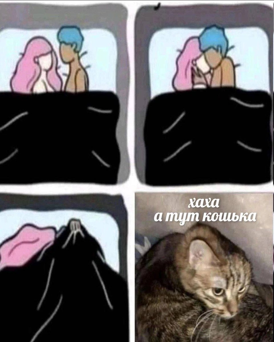 haha
and the kitten is here